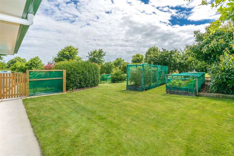 912 Bond Road Te Awamutu_21