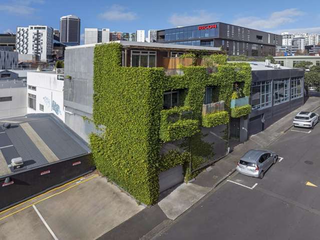 Unique Auckland City mixed-use opportunity