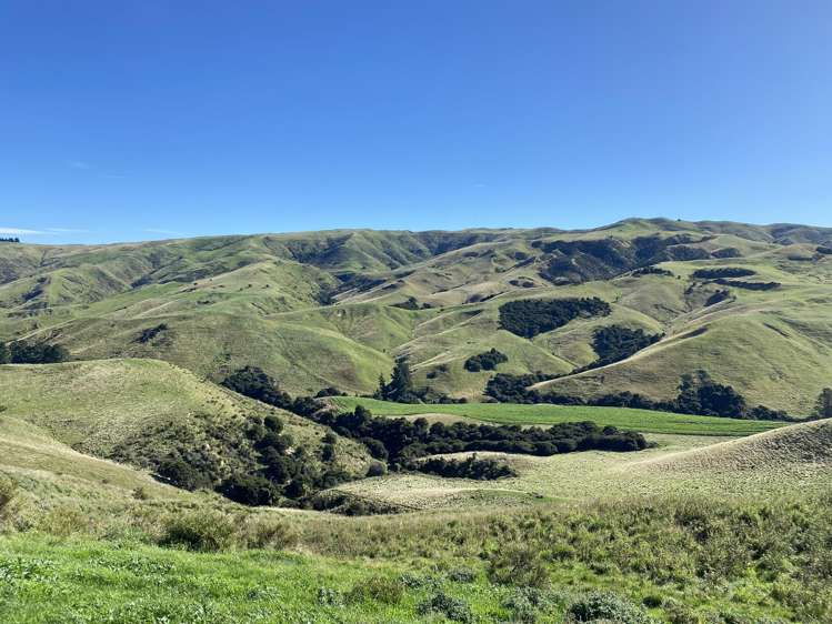 48 Heathfield Road Waipara_5