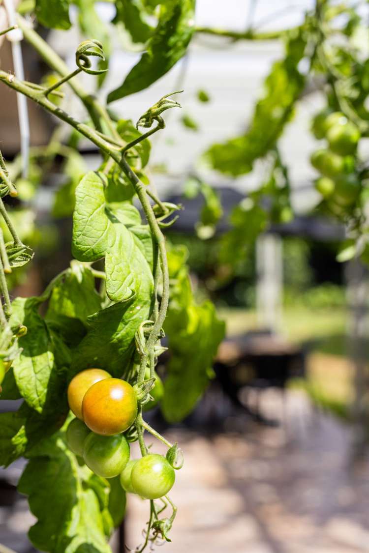 3 Sheridan Crescent Leamington_31