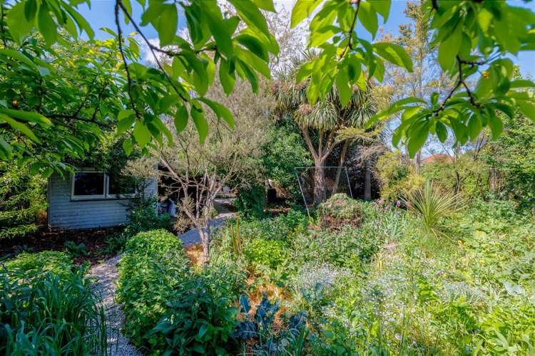 156 Cole Street Masterton_10