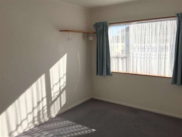 39b Nikau Street Springfield_2