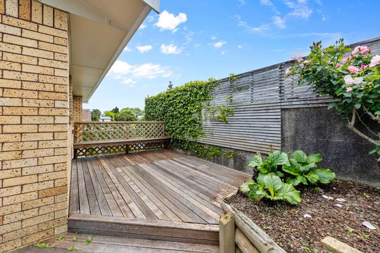 388 Thames Street Morrinsville_17