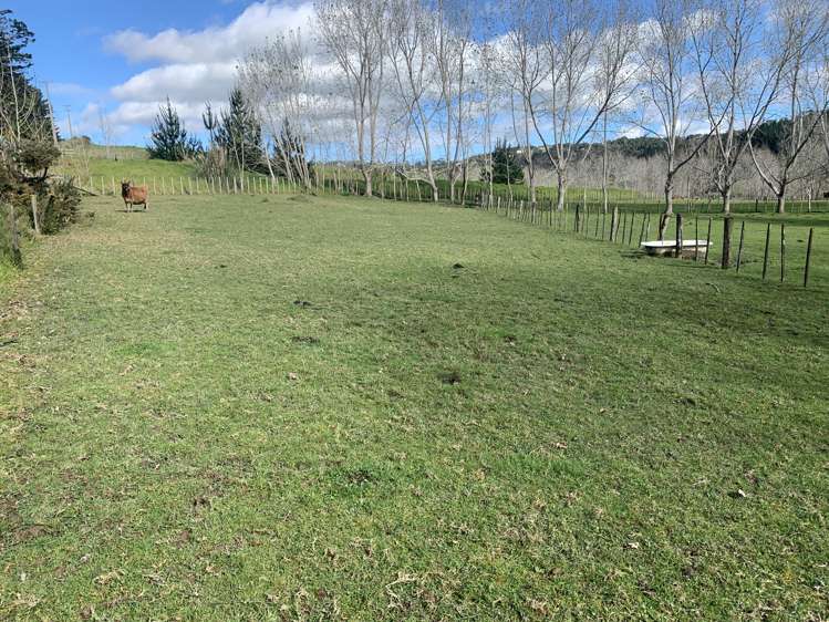 654 Inland Road Helensville_2