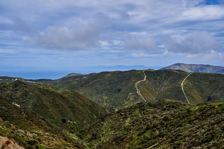 380 Hawkins Hill Road Brooklyn_6