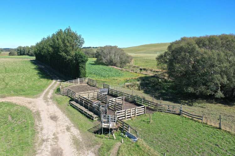 1550 Waimumu Road Te Tipua_6