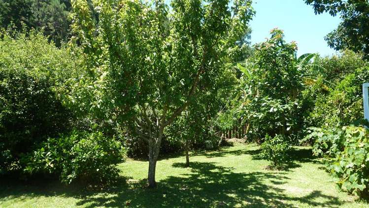 120b Tararu Road Thames_19