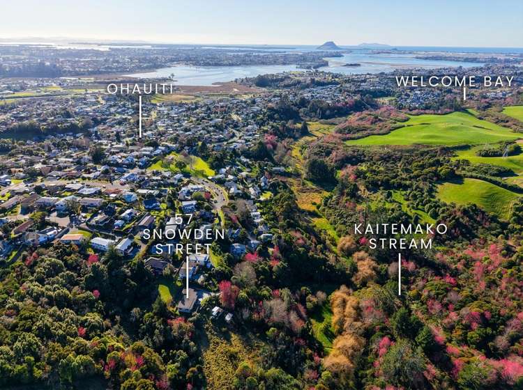 57 Snowden Street Ohauiti_23