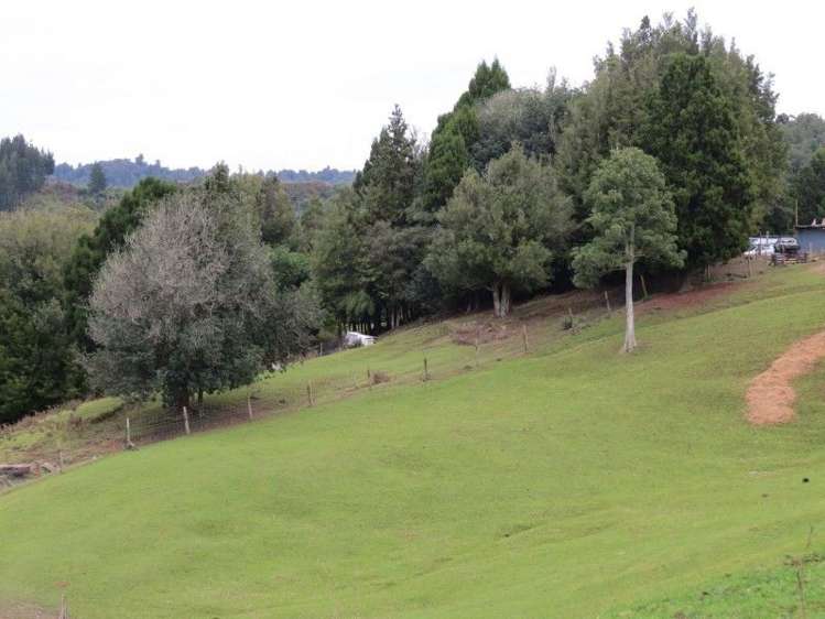 747a No 4 Road Te Puke_9