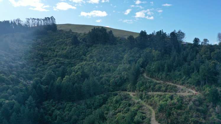 Takaka Hill Takaka Hill_15