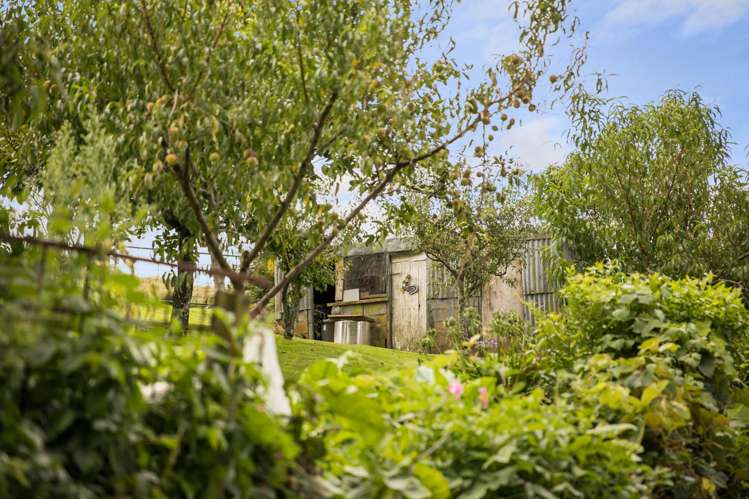 54 Thorn Road Waihi_26