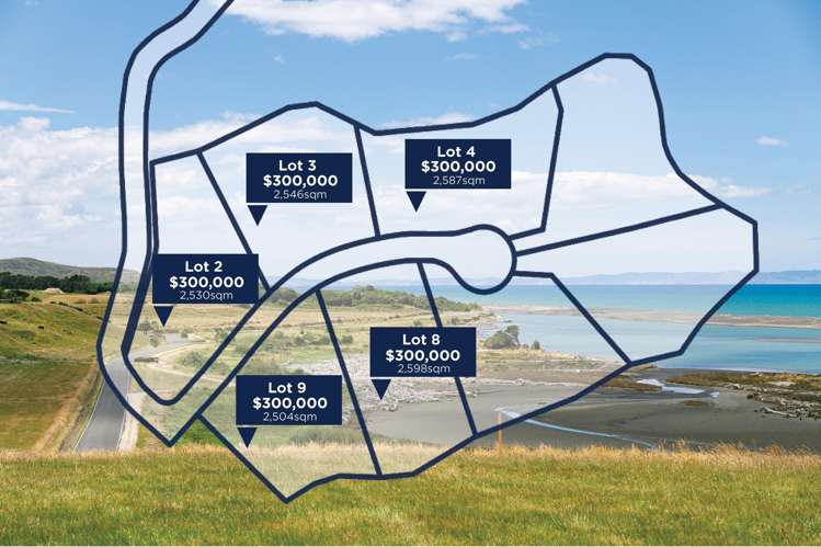 Whakamahi Road_1