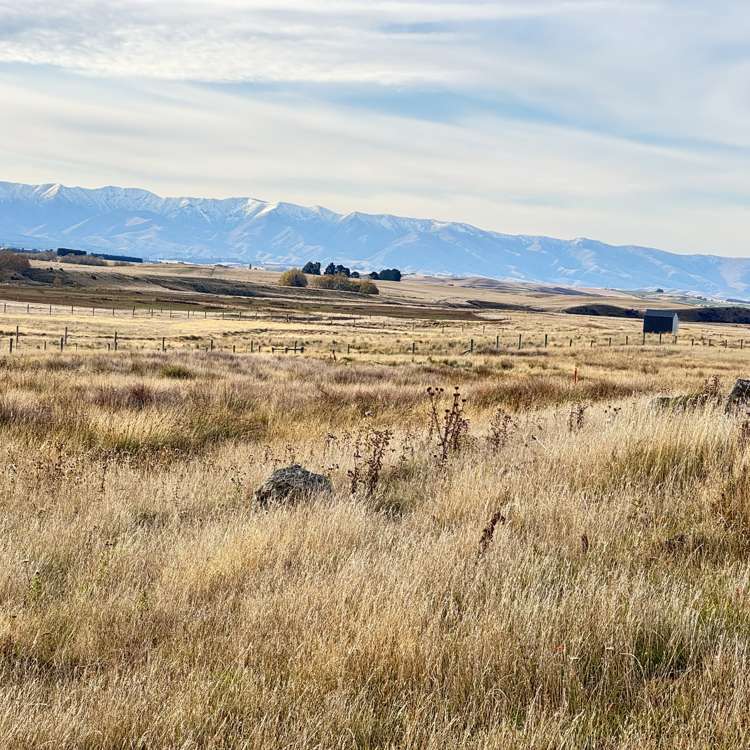 102-103 Ring Fence Road Waipiata_5