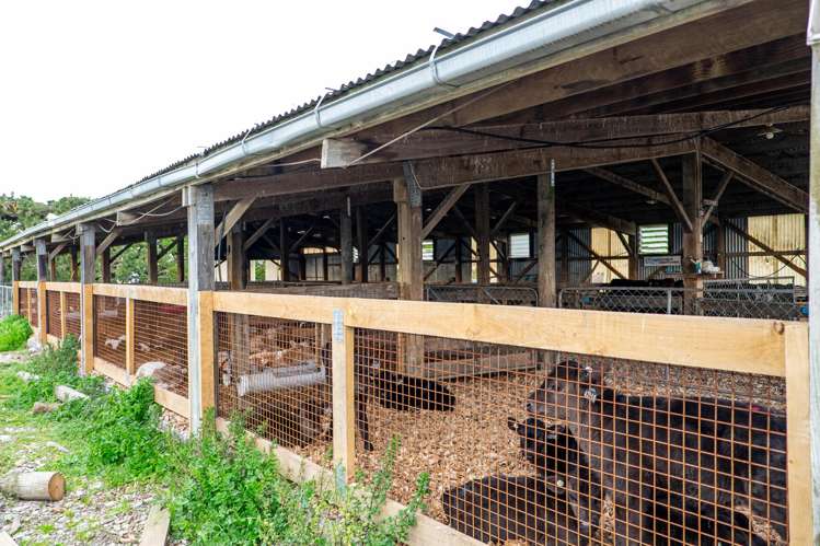 1444 Maronan Valetta Road Westerfield_24