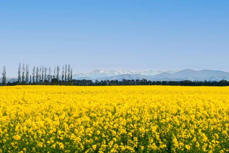 130 Warr Road Balfour_19