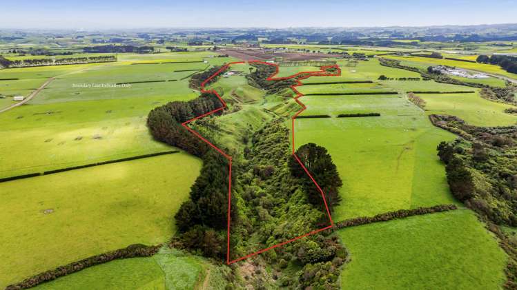 53 Muggeridge Road Manutahi_44