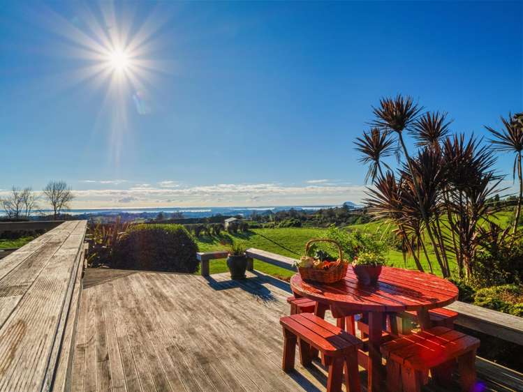 533 Wainui South Road Whakamarama_22