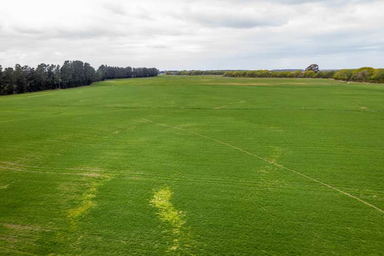 2393 North Rakaia Road Bankside_21