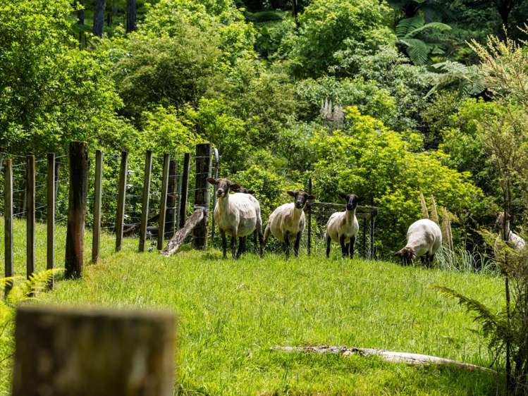 Address withheld Welcome Bay_46