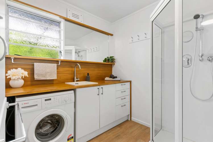 137 Aro Street Aro Valley_9