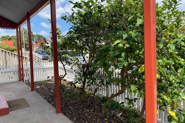 106 Davy Street Thames_3