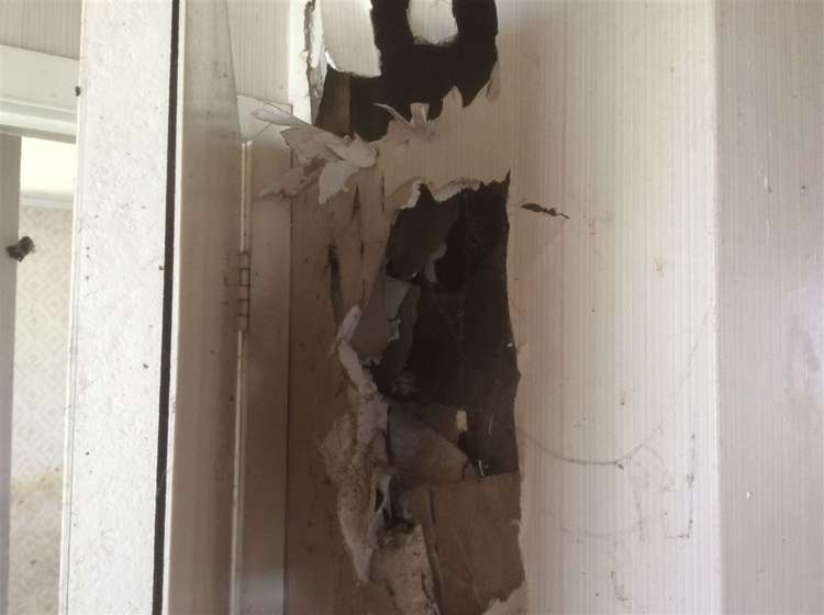 8 Kiwi Street Piopio_13