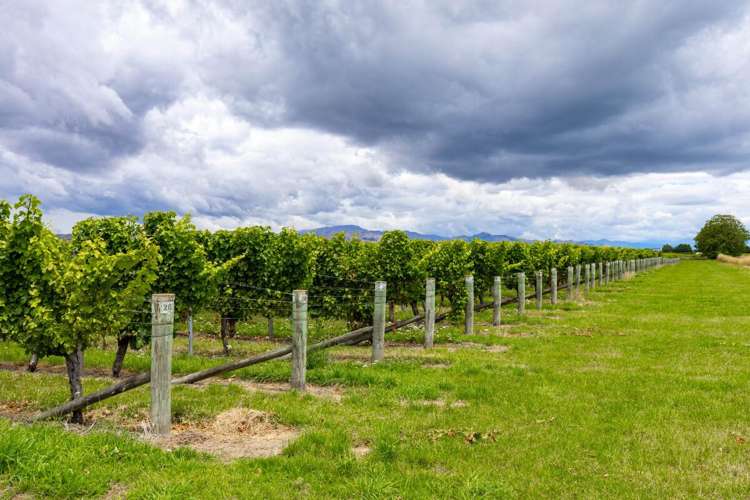 92 Lower Wairau Road Grovetown_12