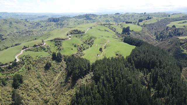 205 Kaweka Road Taihape and Surrounds_4