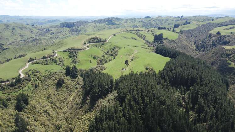 205 Kaweka Road Taihape and Surrounds_4