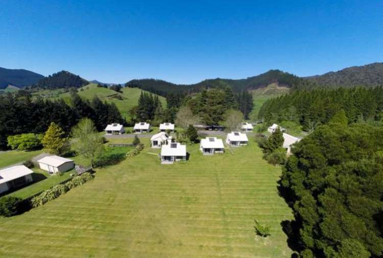 Fitzroy/7090 Mount Richmond Estate Rai Valley_5