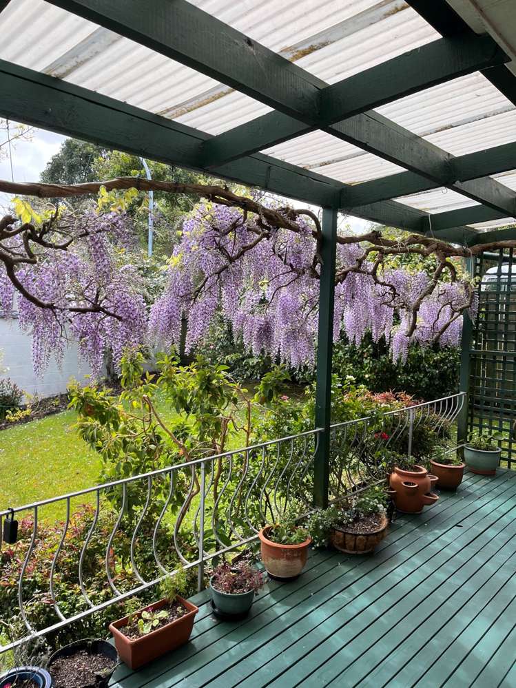 105 Weatherly Road Torbay_5