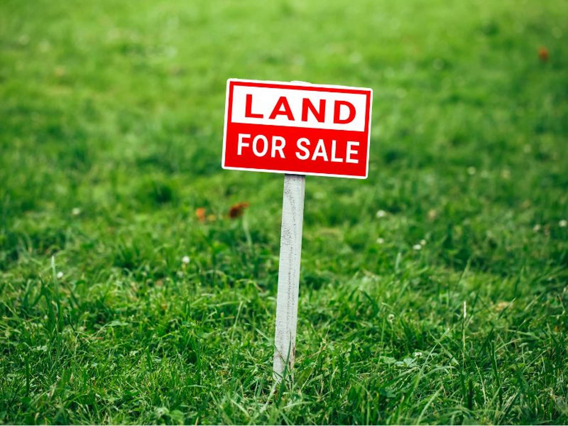 4 PIPI CRESCENT Tuakau_0