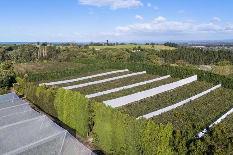 416 State Highway 2 Katikati_21