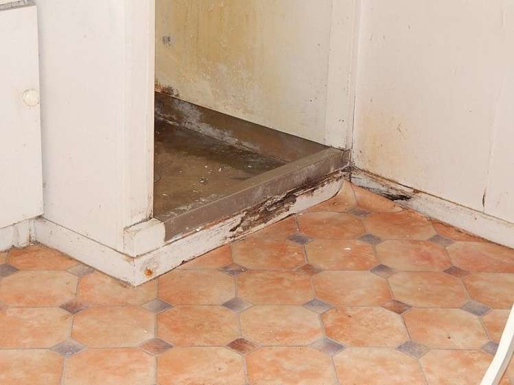 50 Neighbours Street Waimangaroa_9