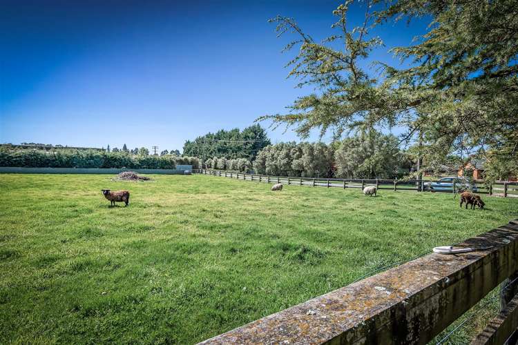 45 Whitewood Crescent West Melton_17