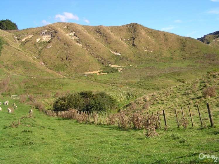 1865 Ohura Road Waimiha-Ongarue_6