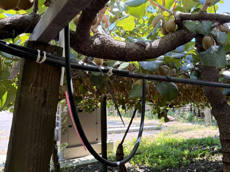 89 Work Road Aongatete_14