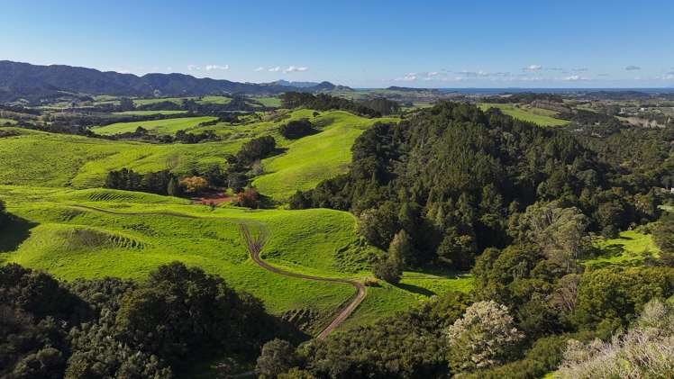 404 Tara Road Mangawhai_16