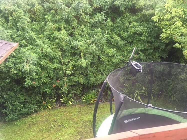 40b Ellis Avenue Mount Roskill_8