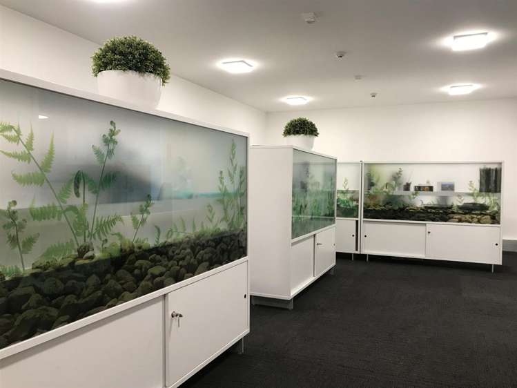 Unit 3B/75 Peterborough Street Christchurch Central_7