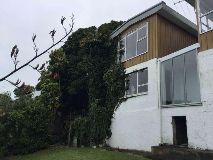 28 Campbell Road Maraetai_12