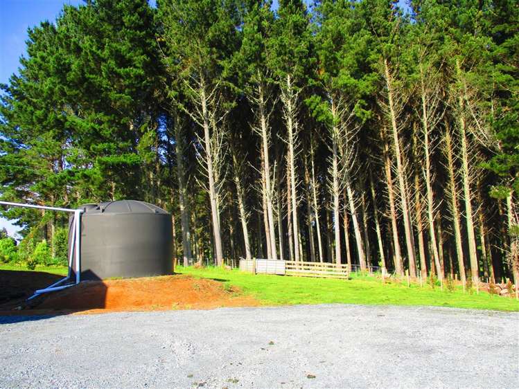 17 Robertson Road Whatawhata_12