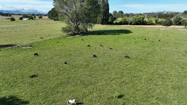 72 Taumata Island Road Taumata Island_4