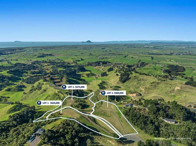 Sensational Lifestyle Sections - Withy Road