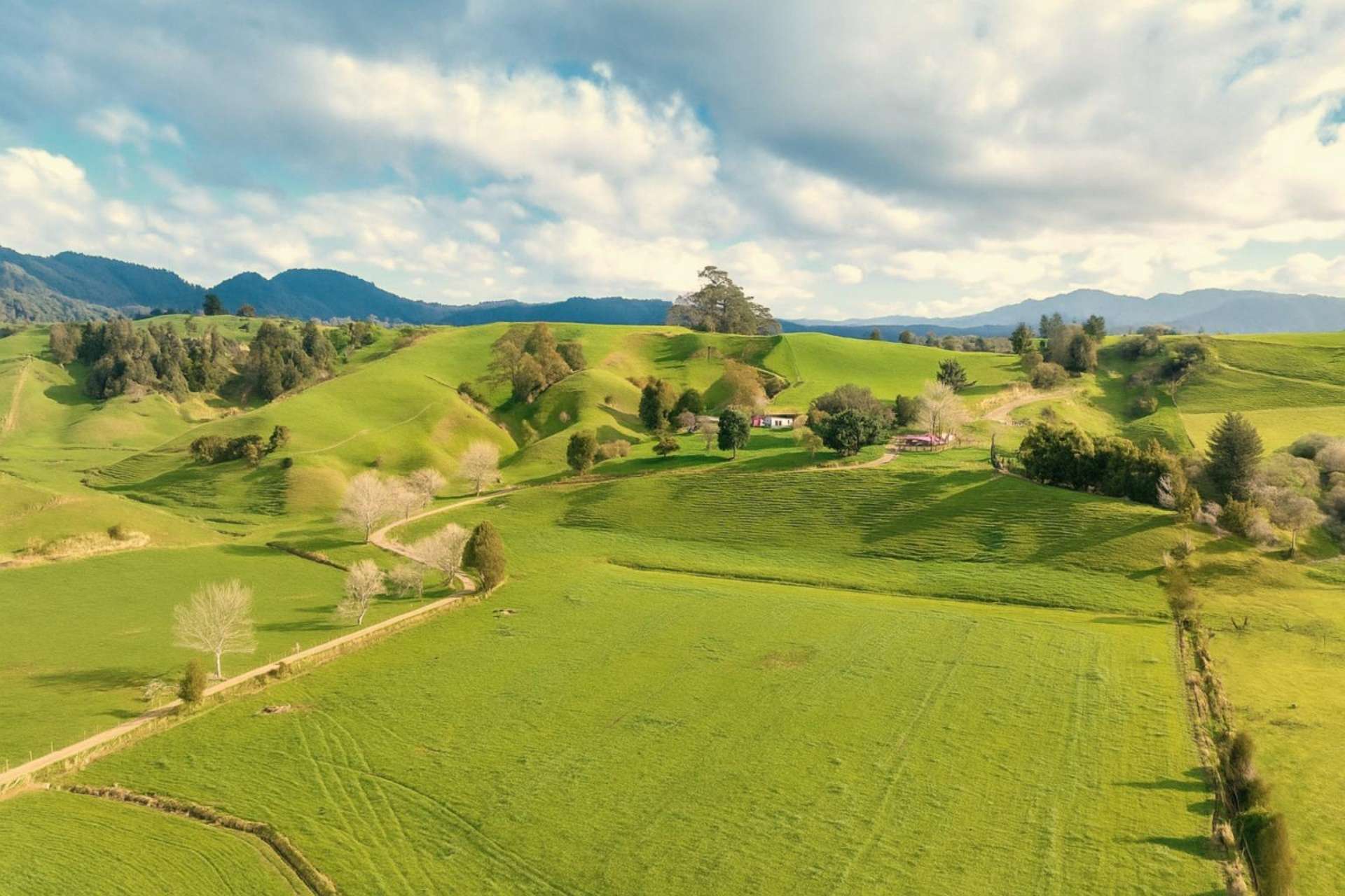 636 Otara Road Opotiki_0