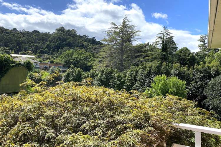 109 Kingsford Place Thames_22