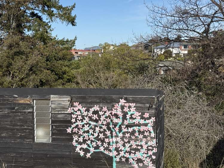 61 Lewin Street Balclutha_14