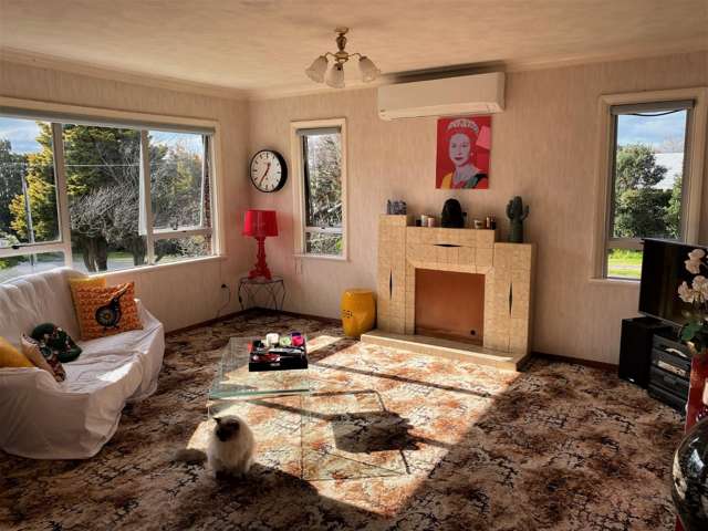 19 Boucher Avenue 11555_1