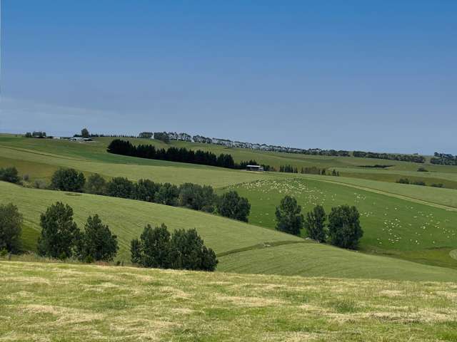 446 Skinner Road Clinton and Surrounds_1