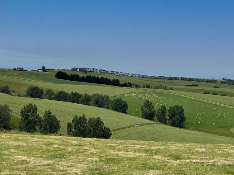 446 Skinner Road Clinton and Surrounds_1